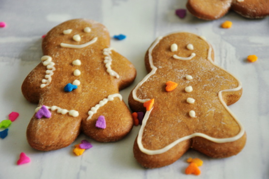 AquaMobile Christmas Cookie Recipe's Gingerbread Man